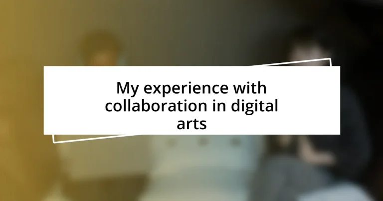 My experience with collaboration in digital arts